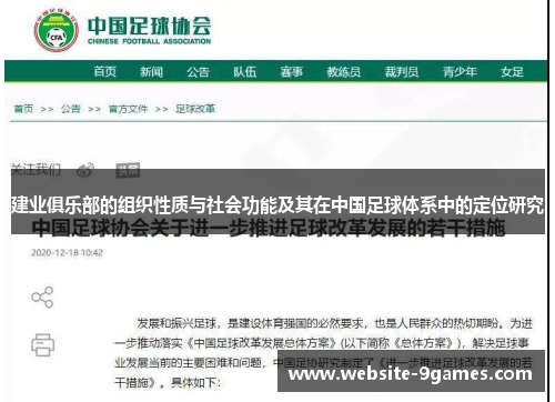 建业俱乐部的组织性质与社会功能及其在中国足球体系中的定位研究
